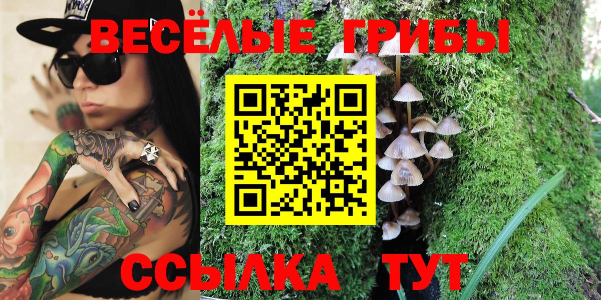 как найти наркотики  Галлюциногенные грибы Psilocybe  Вход с VPN  Можайск 