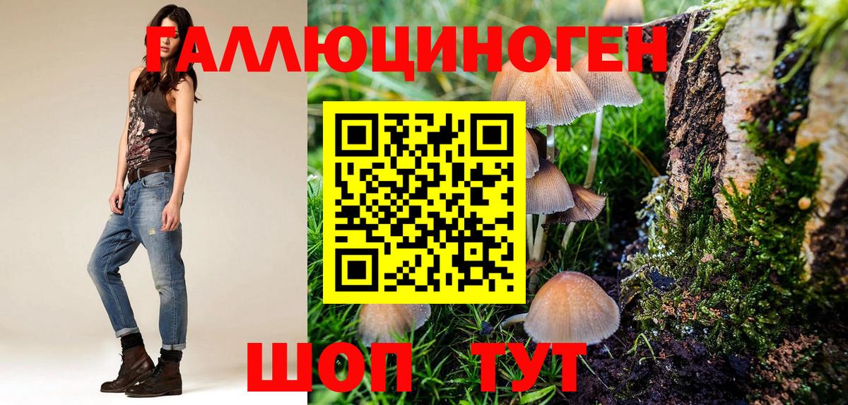 Галлюциногенные грибы Psilocybine cubensis Можайск